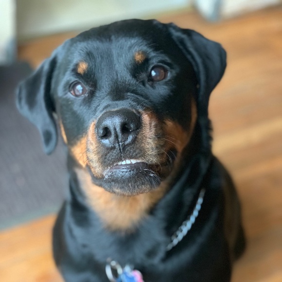 About Me :) - Picture 6 of 8